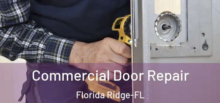  Commercial Door Repair Florida Ridge-FL