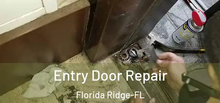  Entry Door Repair Florida Ridge-FL