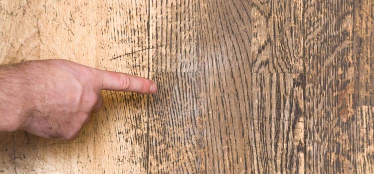 Wood Door Scratch Repair in Florida Ridge