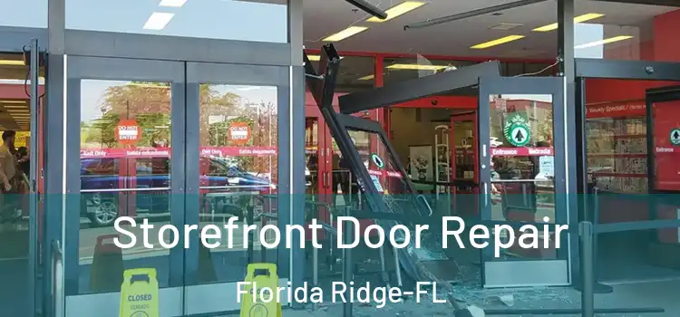  Storefront Door Repair Florida Ridge-FL